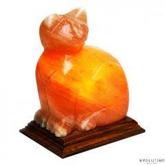 Evolution Salt Cat Crystal Salt Lamp